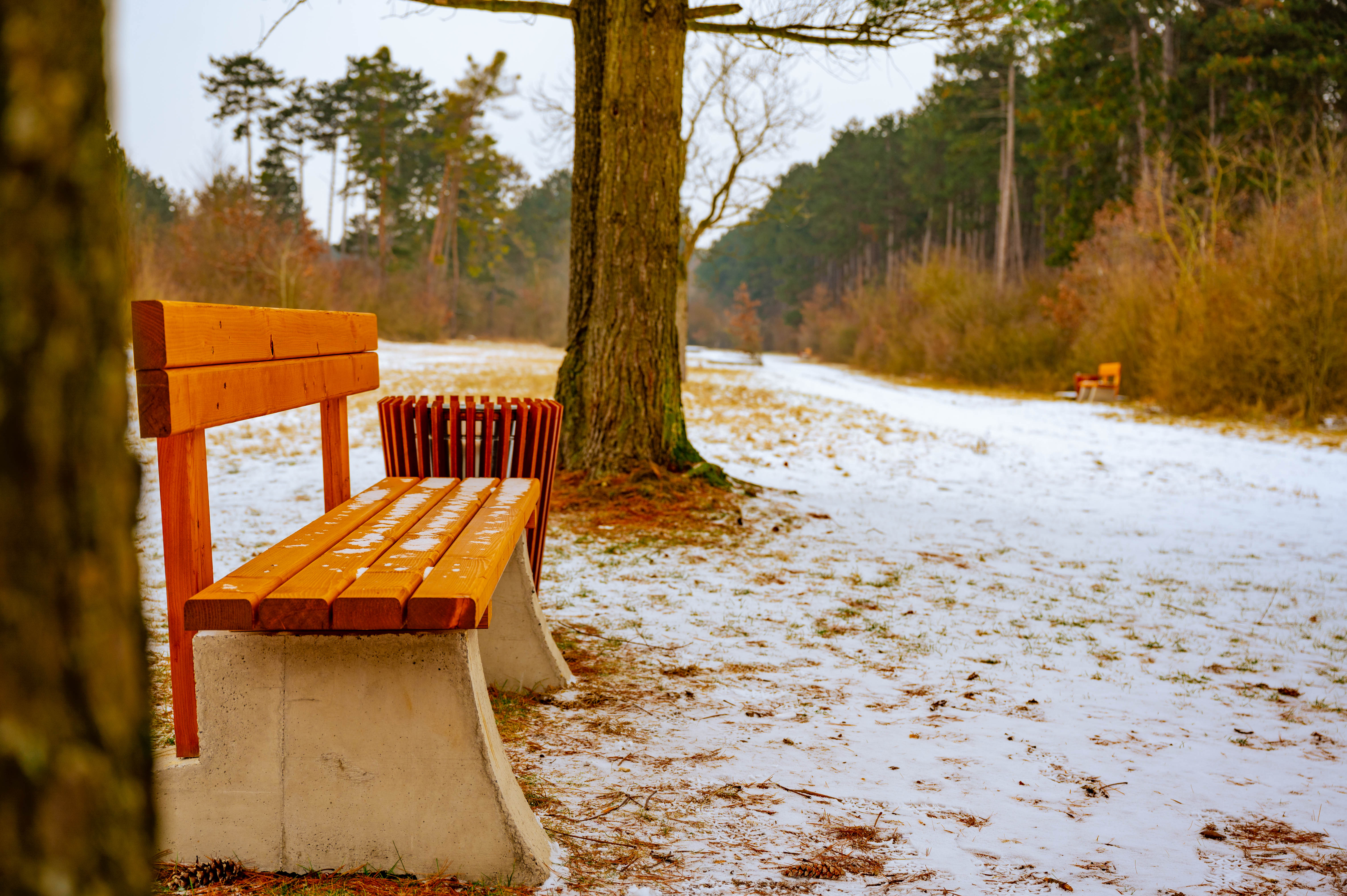 Begrnung Kopal Kasernengelnde 4 von 16