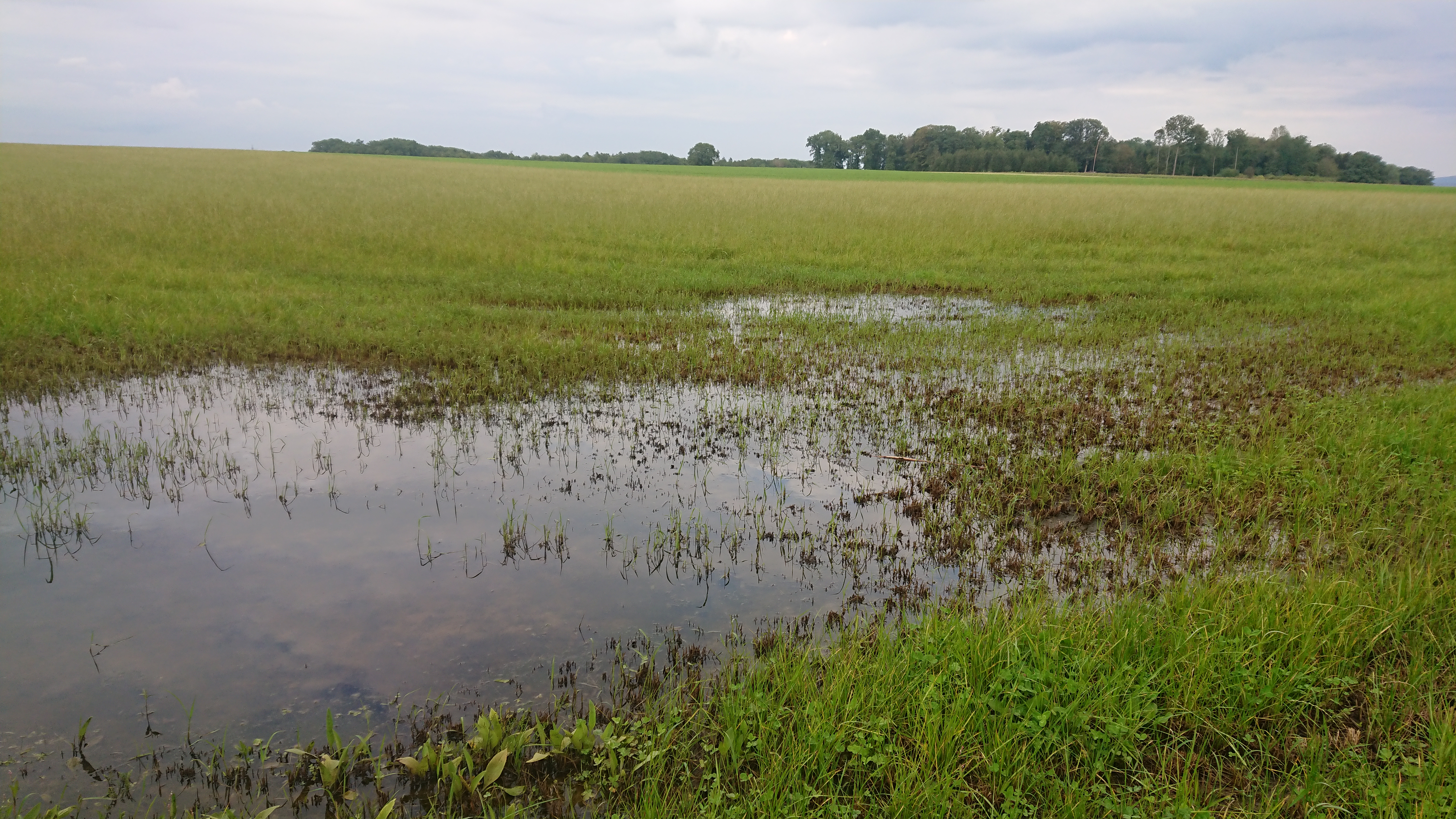 Abflusslose Mulde Gunther Aust