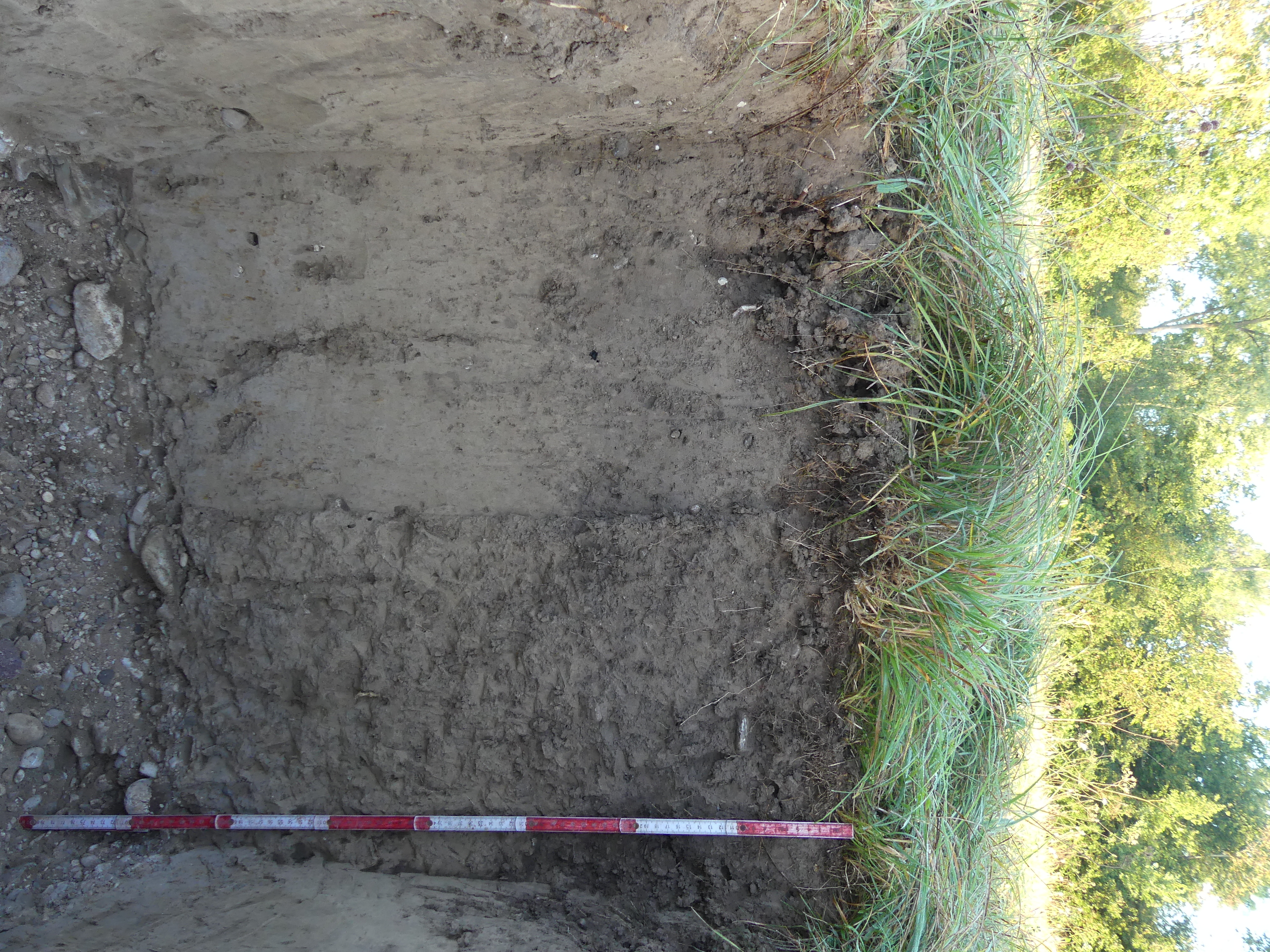 Auboden Gunther Aust