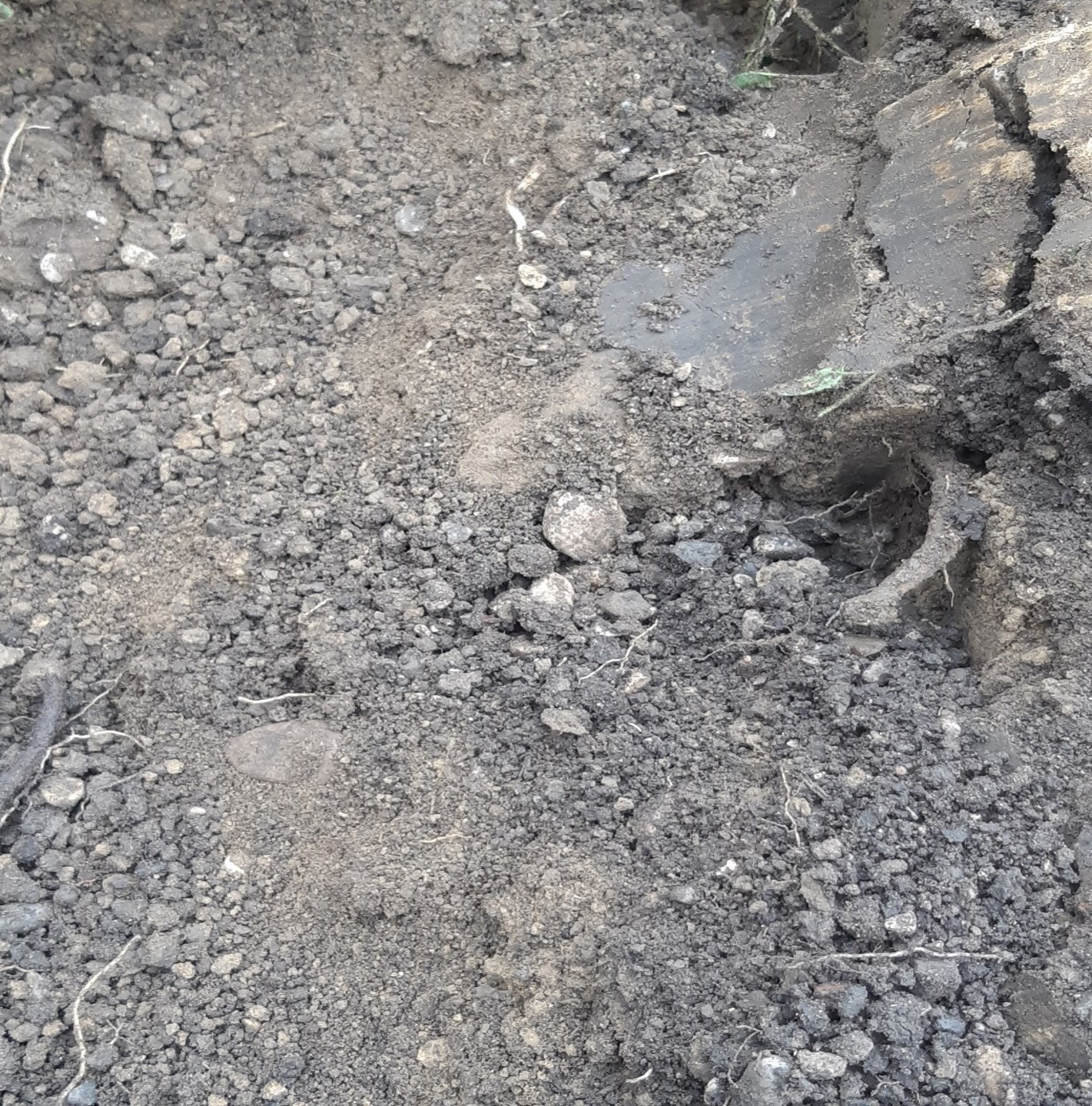 Lockeres Erdmaterial Viehofen Andreas Wittmann