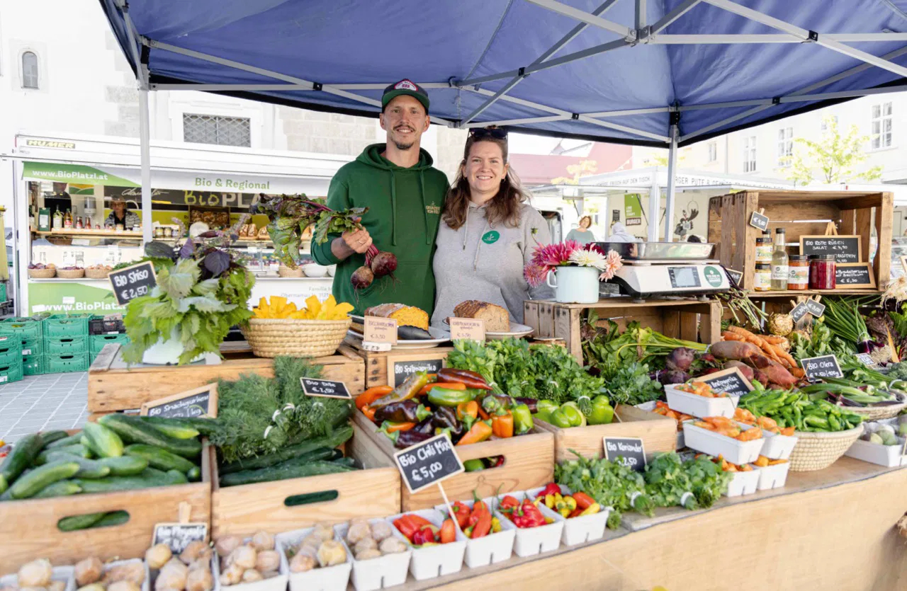 quereinsteiger Gross falstaff SP Markt 8373